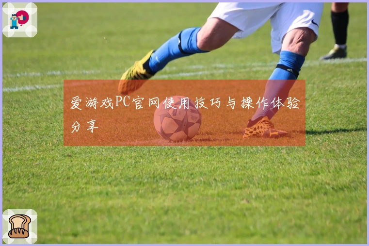 爱游戏PC官网使用技巧与操作体验分享
